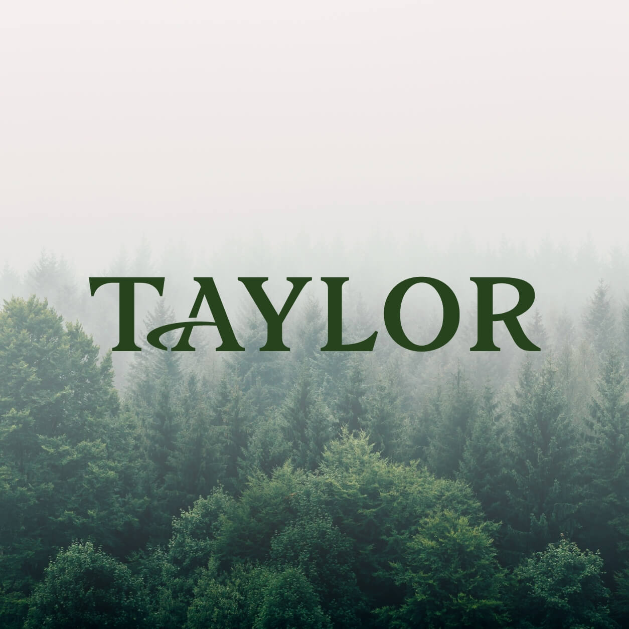 Taylor Rye Logo Taylor - Established in 1916